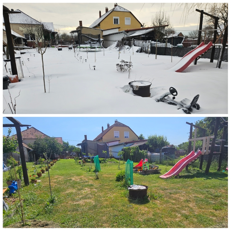 beillesztett kép