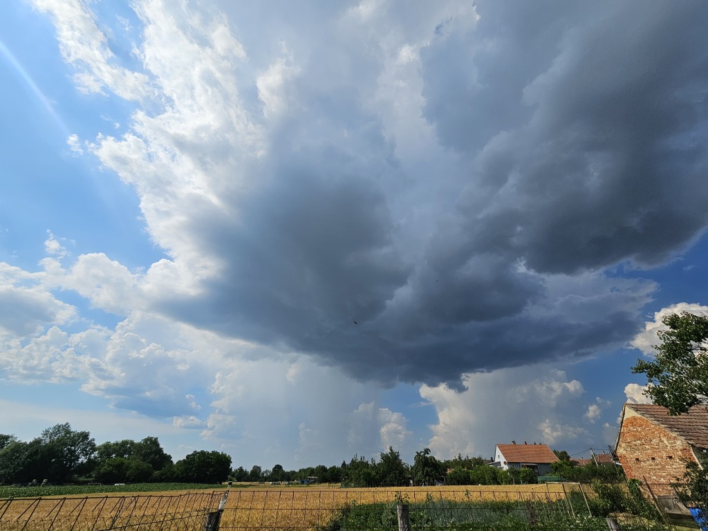 beillesztett kép