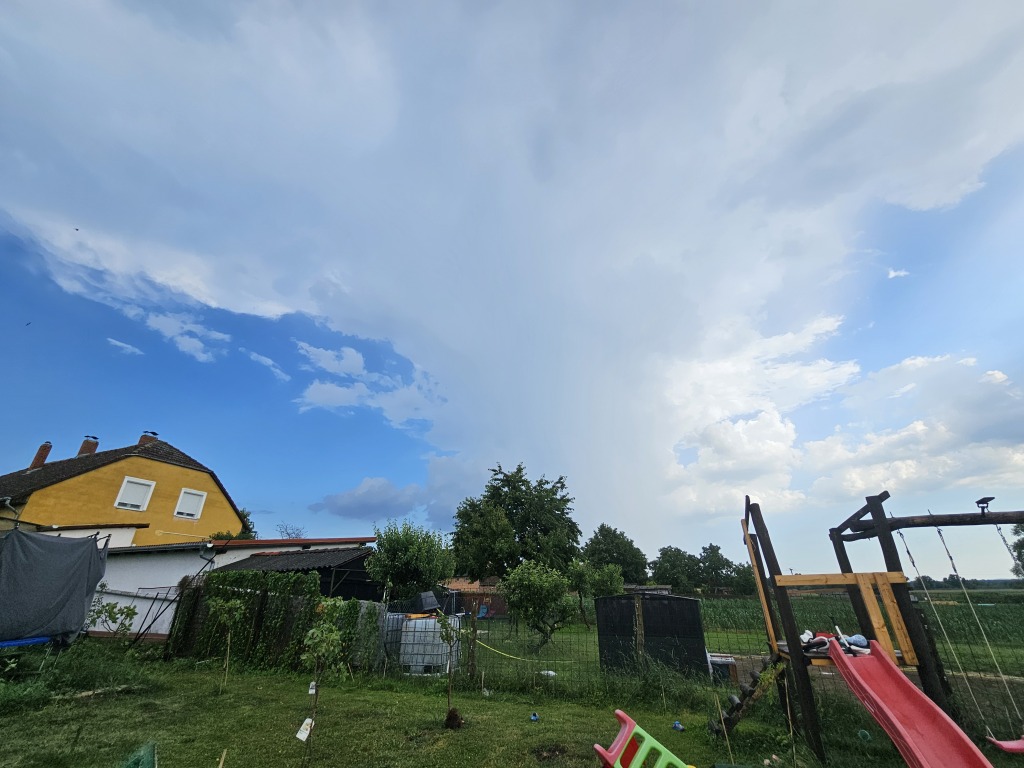 beillesztett kép