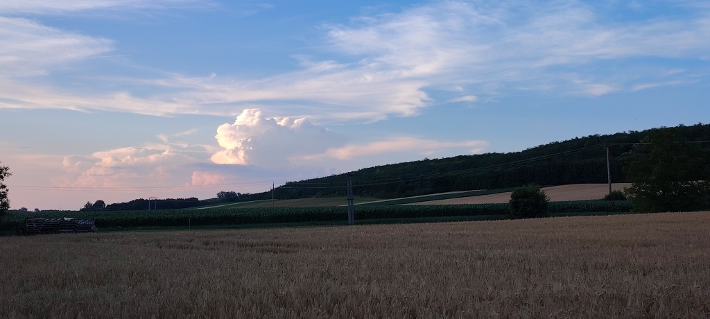 beillesztett kép