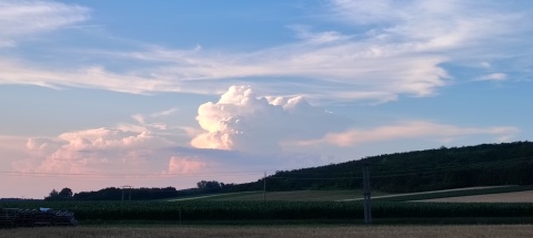pic