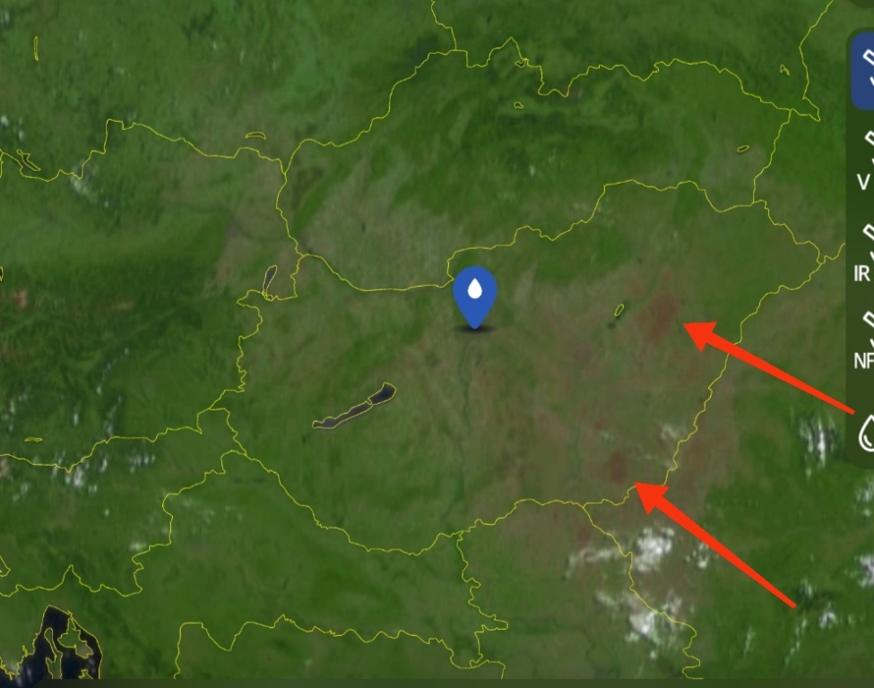 beillesztett kép