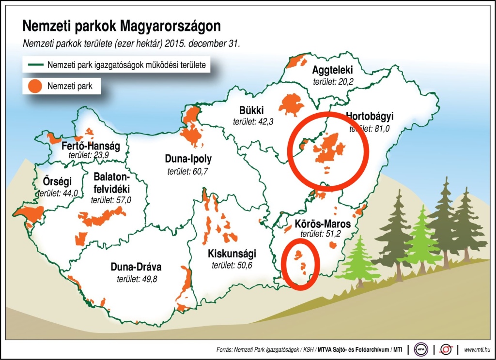 beillesztett kép