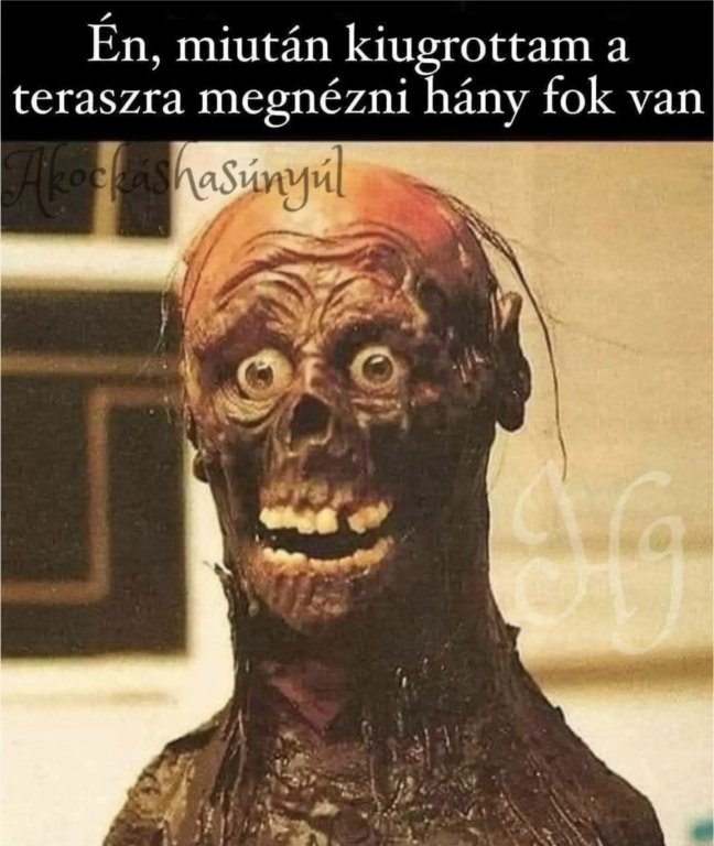 beillesztett kép