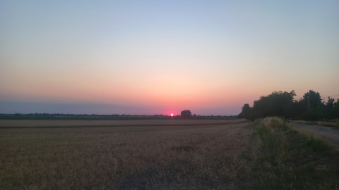 pic