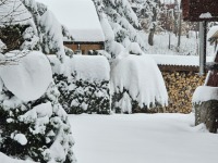 pic