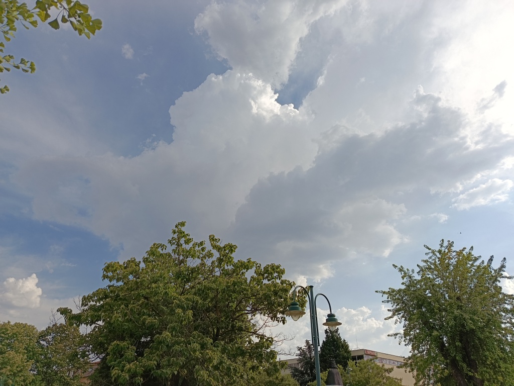beillesztett kép