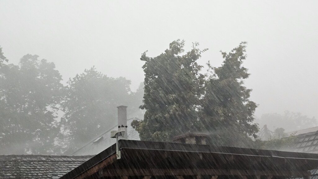 beillesztett kép