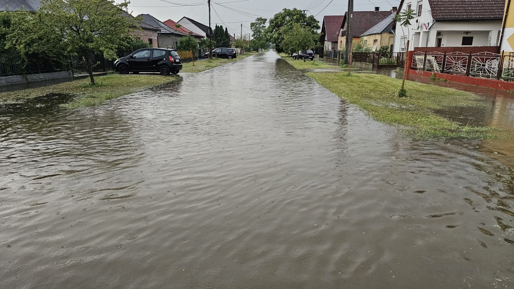 beillesztett kép