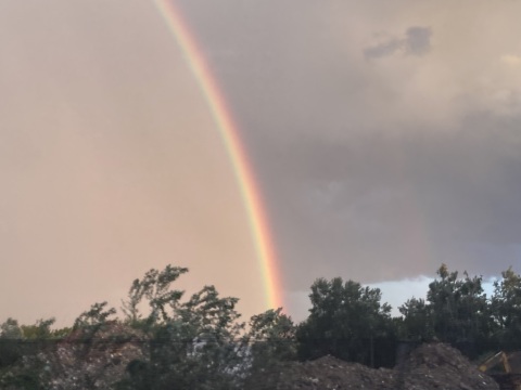 pic