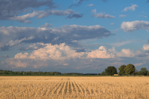 pic