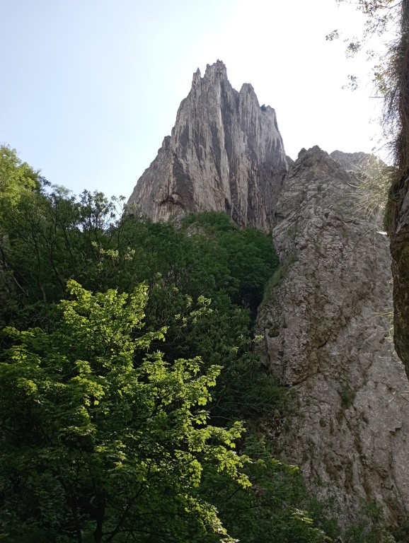 beillesztett kép