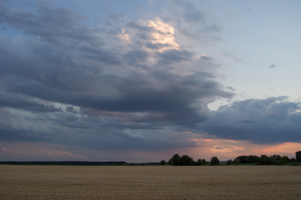 beillesztett kép