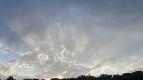 pic