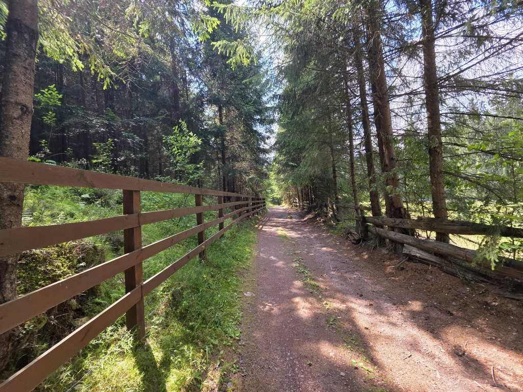 beillesztett kép