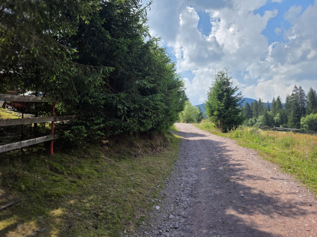 beillesztett kép