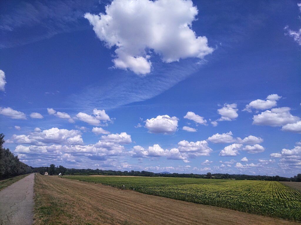 beillesztett kép