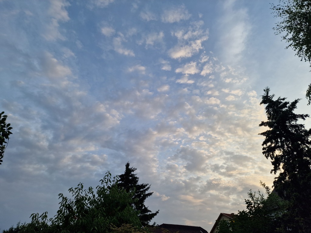 beillesztett kép