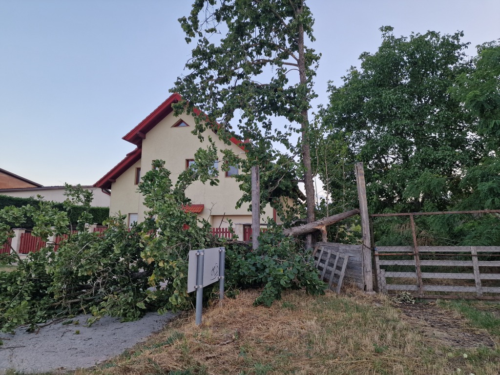beillesztett kép