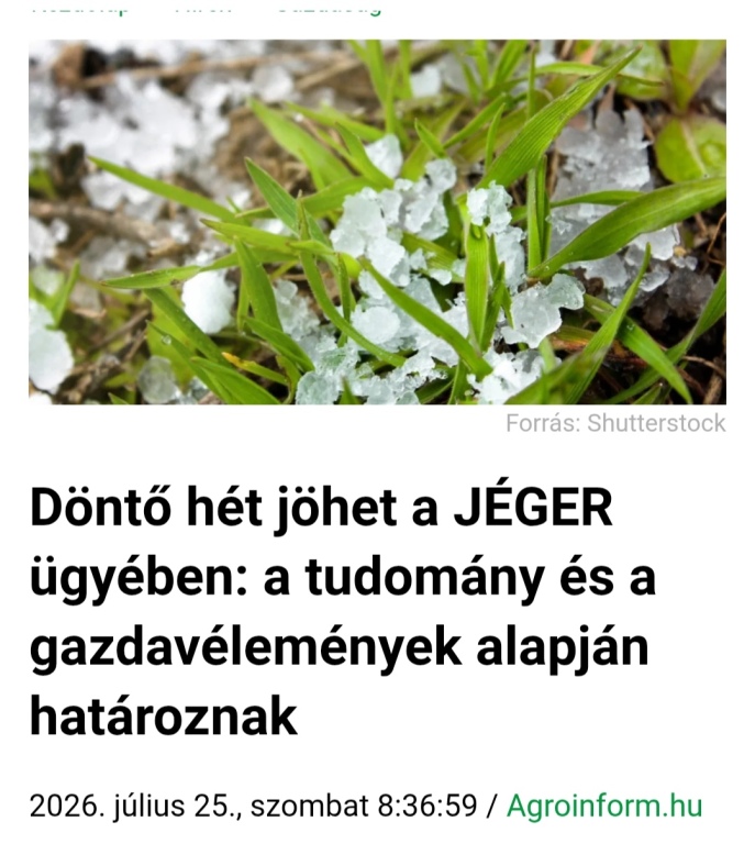beillesztett kép