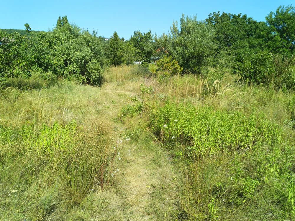 beillesztett kép