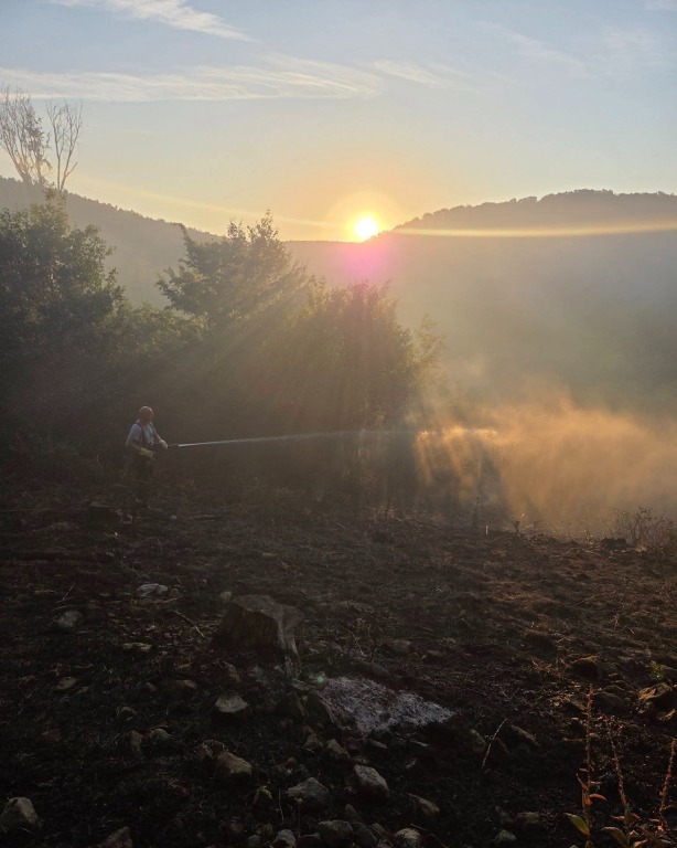 beillesztett kép