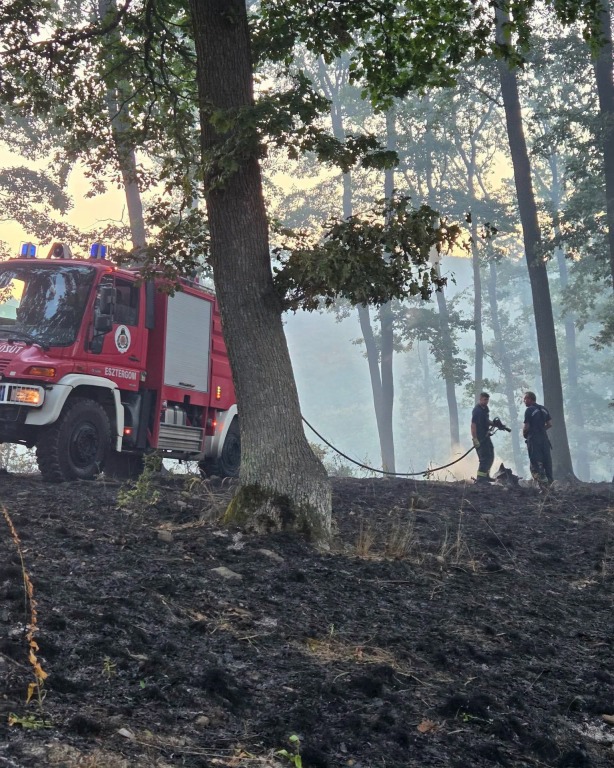 beillesztett kép