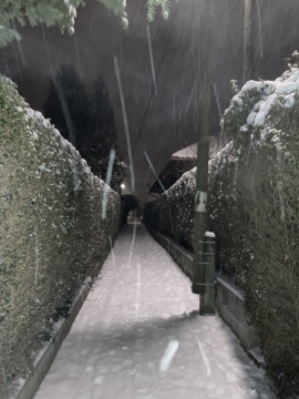 pic
