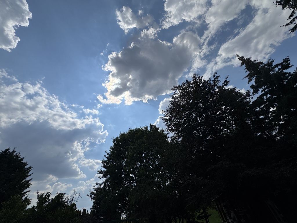 beillesztett kép