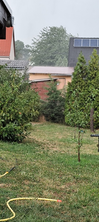 beillesztett kép