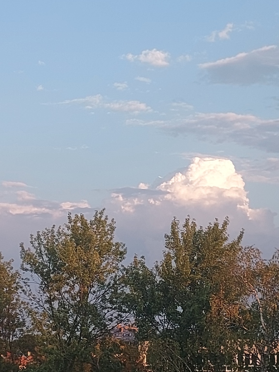 beillesztett kép