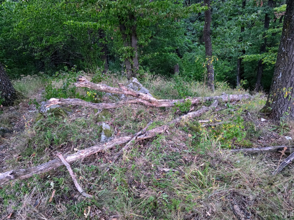 beillesztett kép