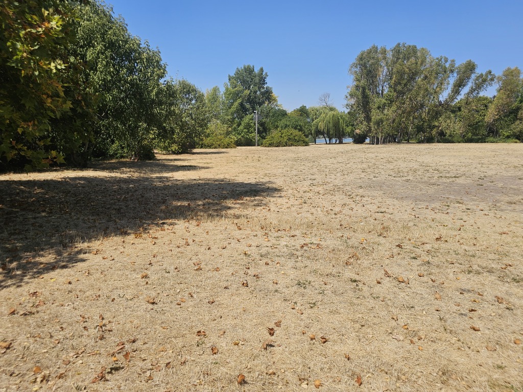 beillesztett kép