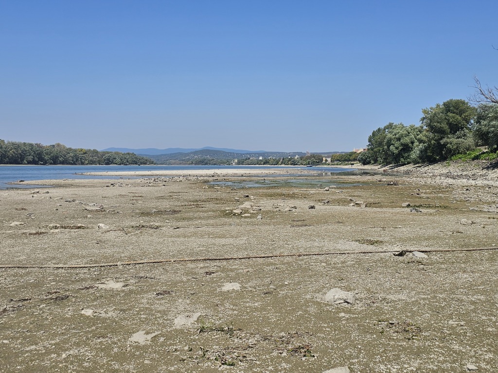 beillesztett kép