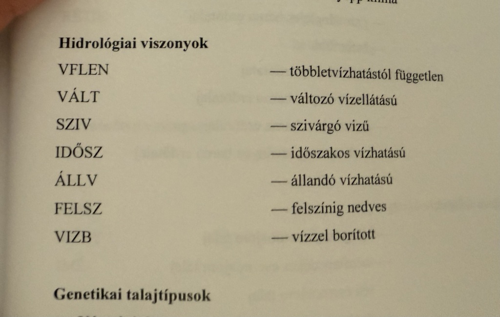 beillesztett kép