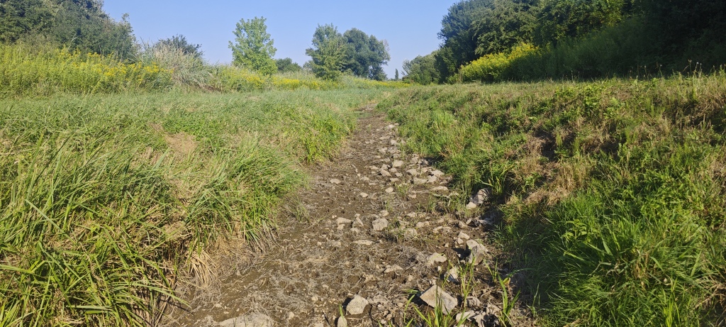 beillesztett kép