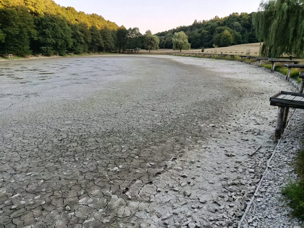beillesztett kép