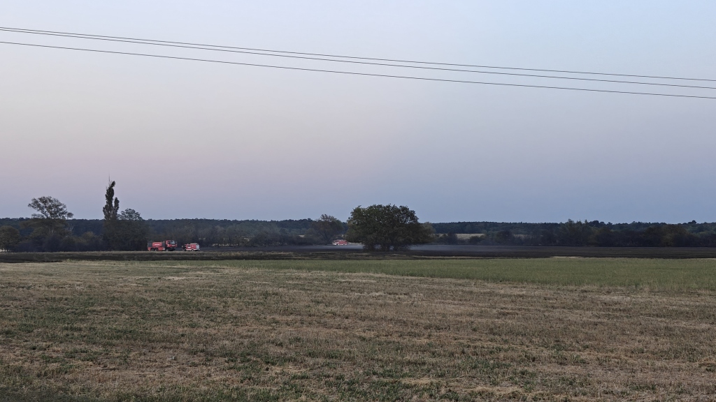 beillesztett kép