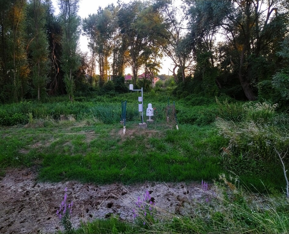 beillesztett kép