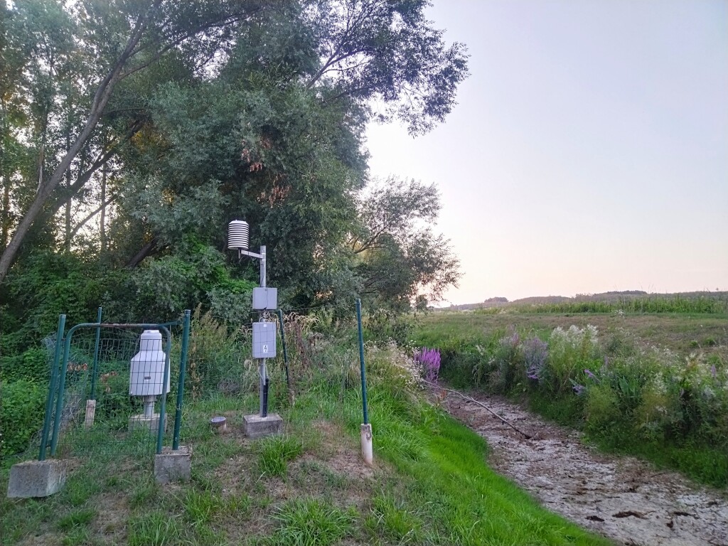 beillesztett kép