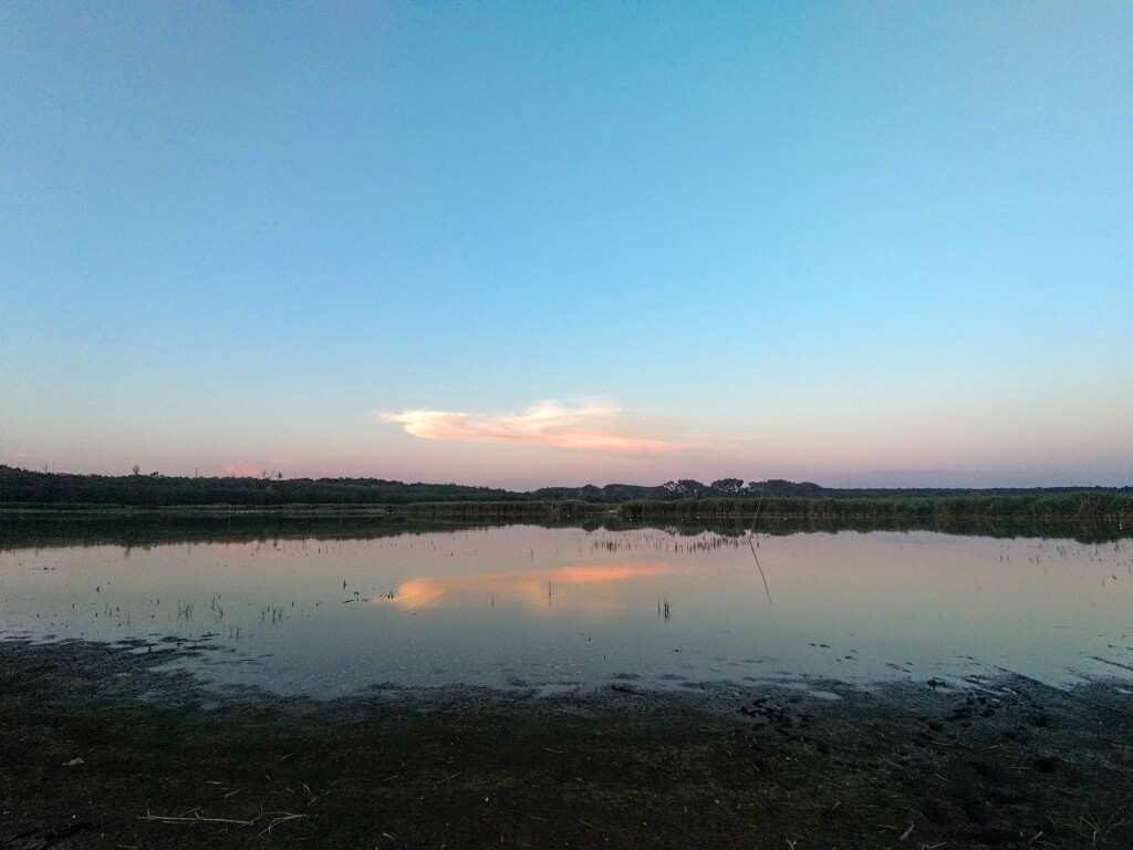 beillesztett kép