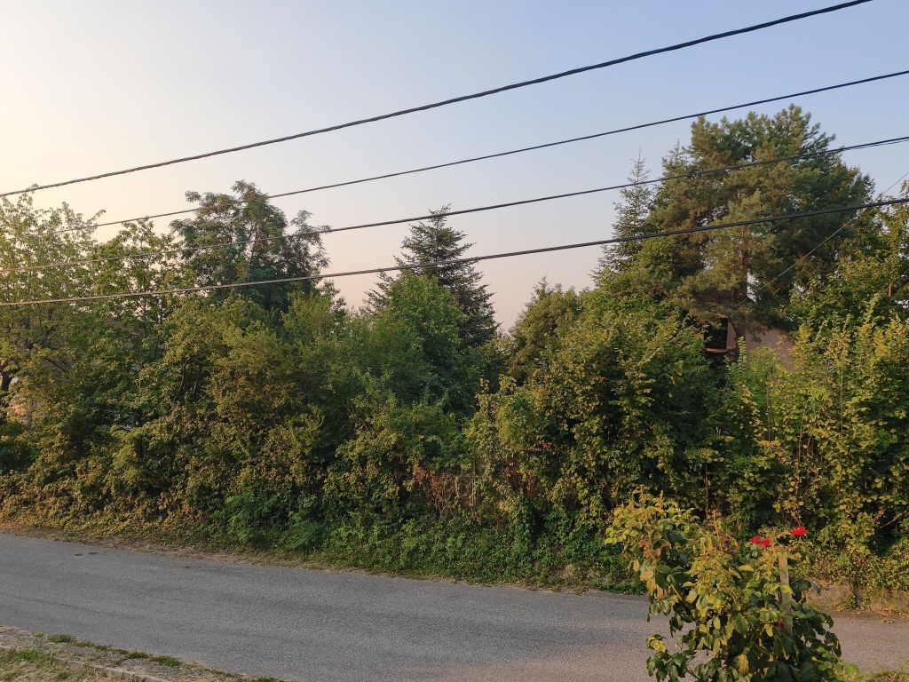 beillesztett kép