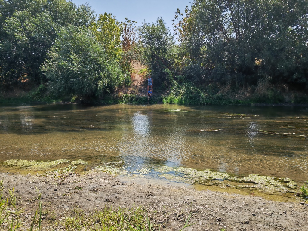beillesztett kép