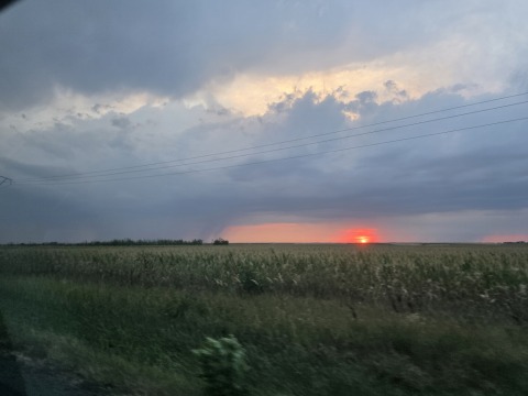 pic