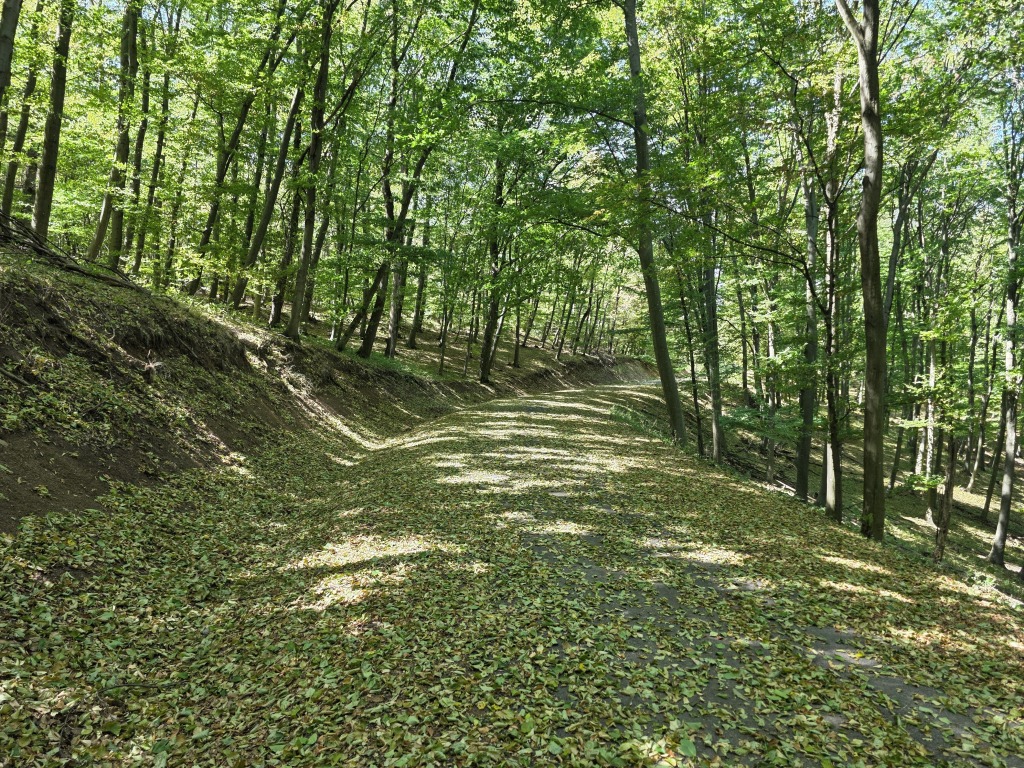 beillesztett kép