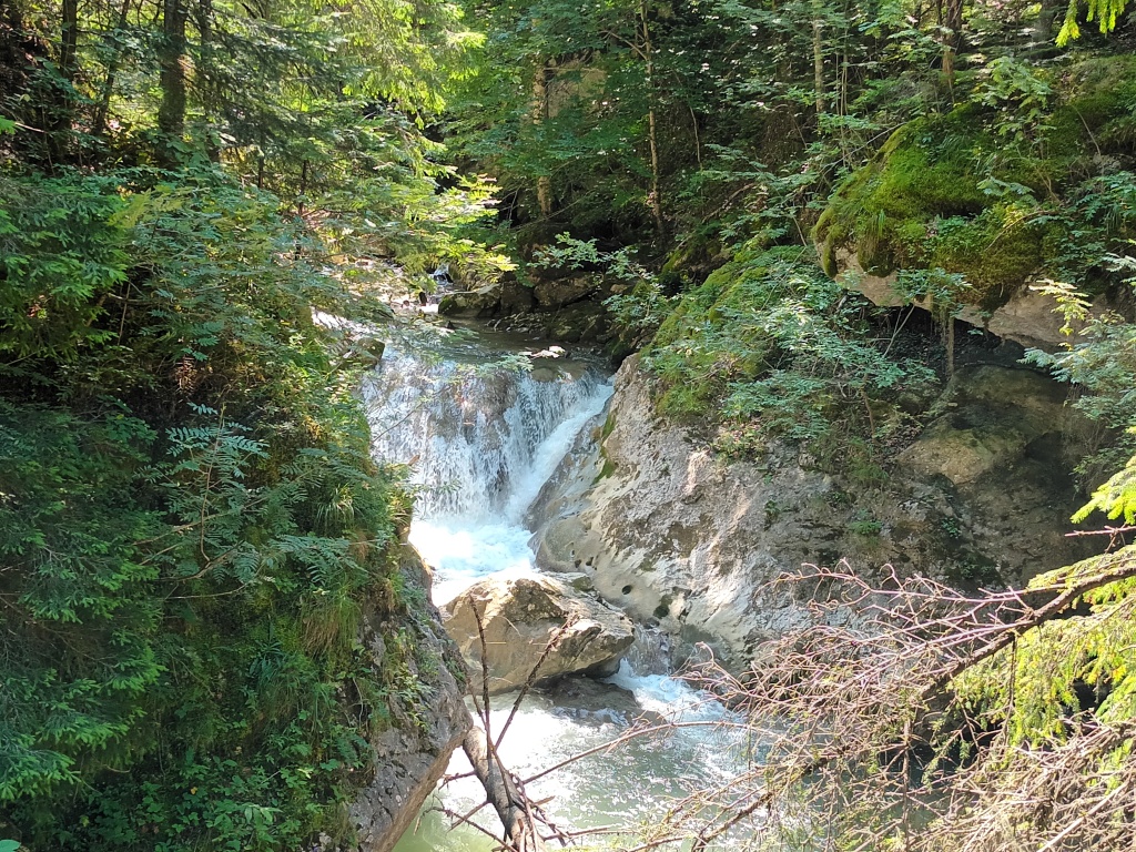 beillesztett kép