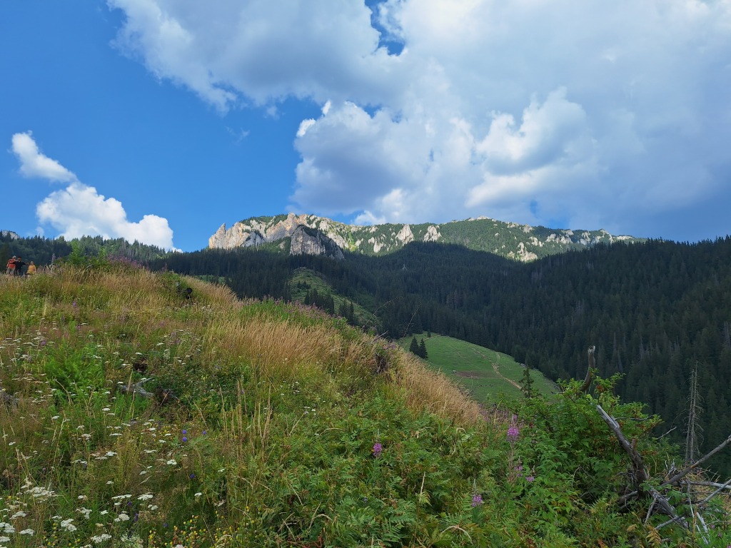 beillesztett kép