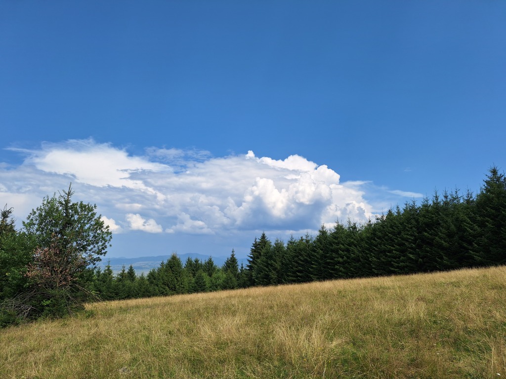 beillesztett kép