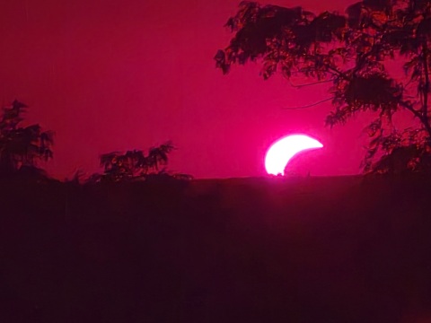 pic