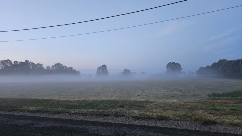 pic